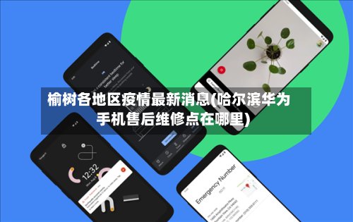 榆树各地区疫情最新消息(哈尔滨华为手机售后维修点在哪里)-第2张图片