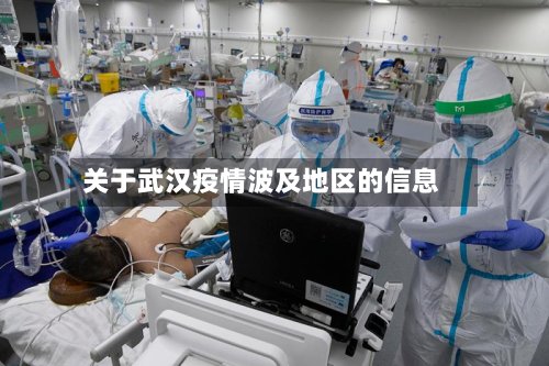关于武汉疫情波及地区的信息-第3张图片