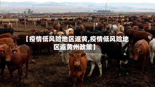 【疫情低风险地区返黄,疫情低风险地区返黄州政策】-第2张图片