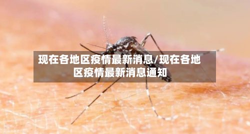 现在各地区疫情最新消息/现在各地区疫情最新消息通知-第2张图片