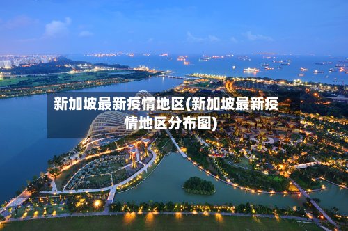 新加坡最新疫情地区(新加坡最新疫情地区分布图)-第3张图片