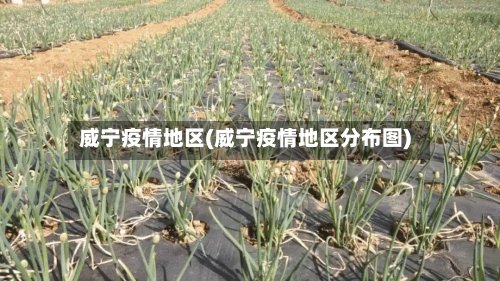 威宁疫情地区(威宁疫情地区分布图)