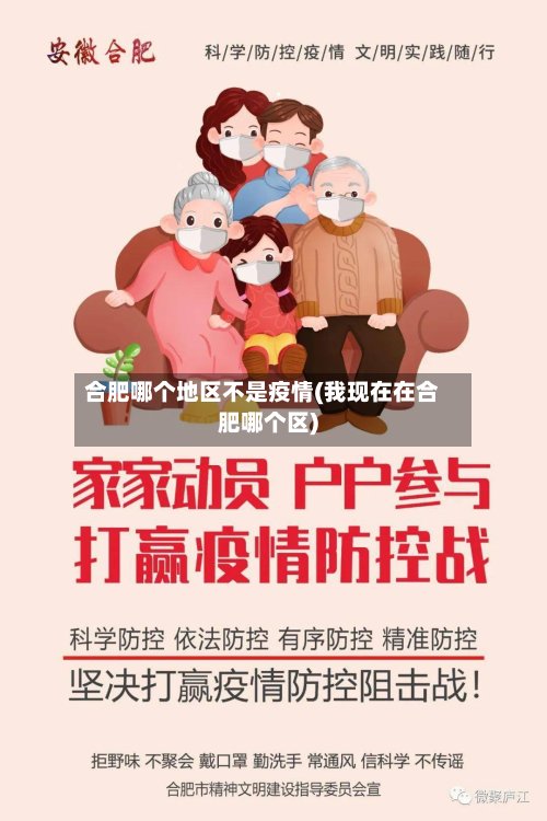 合肥哪个地区不是疫情(我现在在合肥哪个区)-第3张图片
