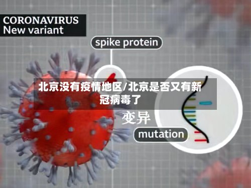 北京没有疫情地区/北京是否又有新冠病毒了-第3张图片