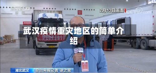 武汉疫情重灾地区的简单介绍