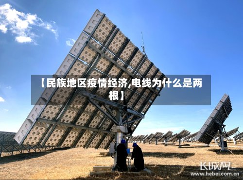 【民族地区疫情经济,电线为什么是两根】