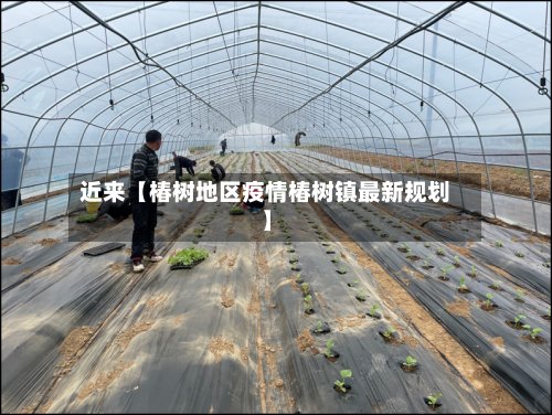 近来【椿树地区疫情椿树镇最新规划】-第2张图片