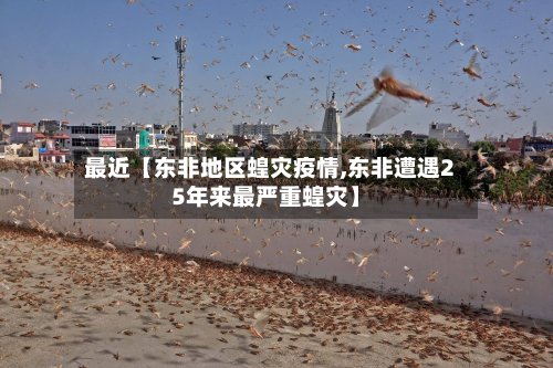 最近【东非地区蝗灾疫情,东非遭遇25年来最严重蝗灾】-第3张图片