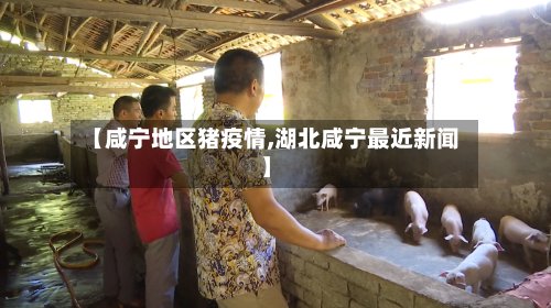 【咸宁地区猪疫情,湖北咸宁最近新闻】