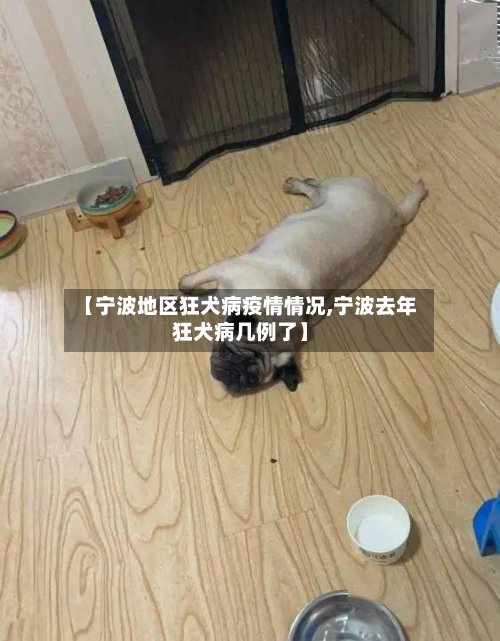 【宁波地区狂犬病疫情情况,宁波去年狂犬病几例了】-第3张图片