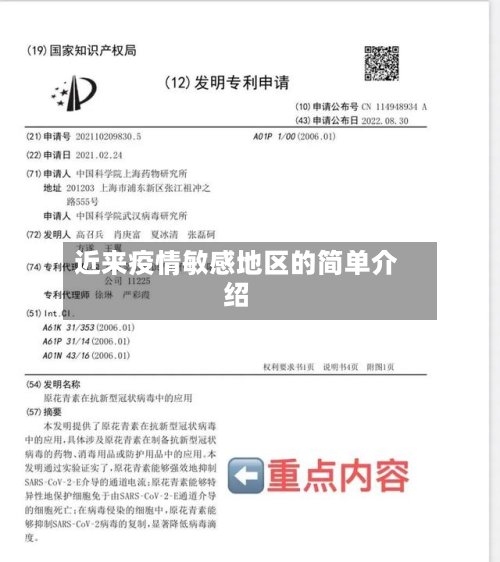 近来疫情敏感地区的简单介绍-第2张图片