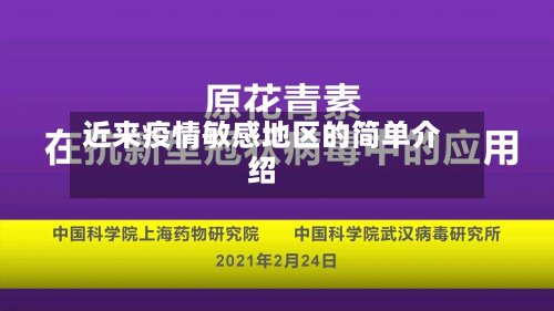 近来疫情敏感地区的简单介绍