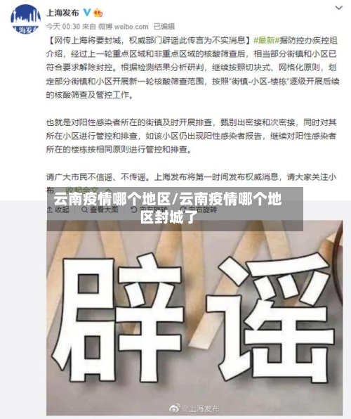 云南疫情哪个地区/云南疫情哪个地区封城了-第3张图片