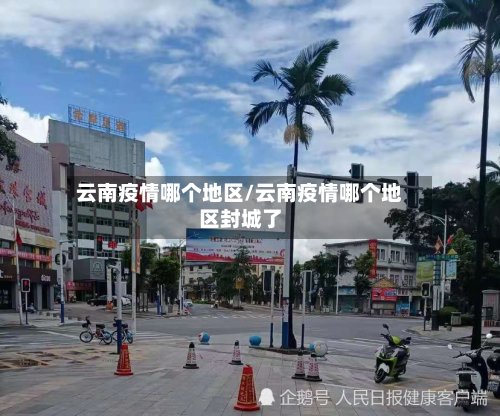 云南疫情哪个地区/云南疫情哪个地区封城了-第2张图片