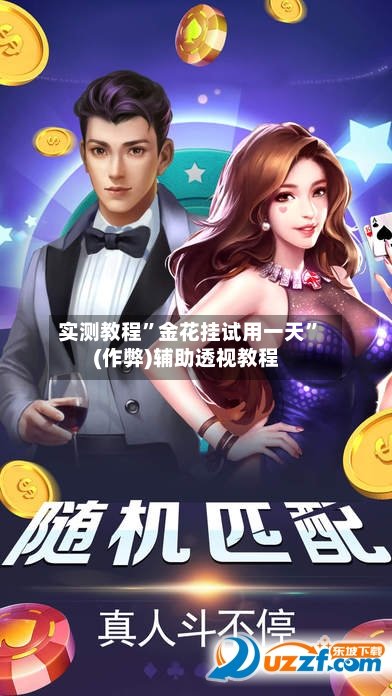实测教程”金花挂试用一天	”(作弊)辅助透视教程-第2张图片