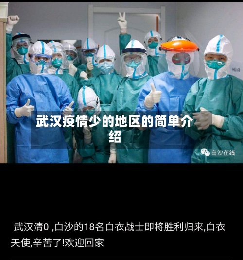 武汉疫情少的地区的简单介绍-第2张图片