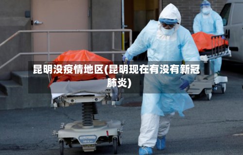 昆明没疫情地区(昆明现在有没有新冠肺炎)-第2张图片