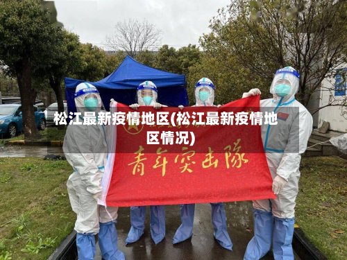 松江最新疫情地区(松江最新疫情地区情况)-第2张图片