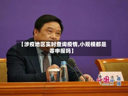 【涉疫地区实时查询疫情,小规模都是零申报吗】-第3张图片