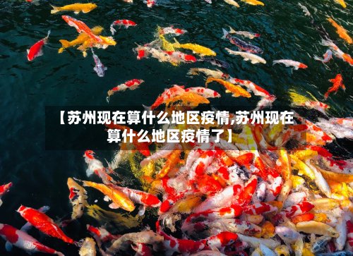 【苏州现在算什么地区疫情,苏州现在算什么地区疫情了】-第3张图片