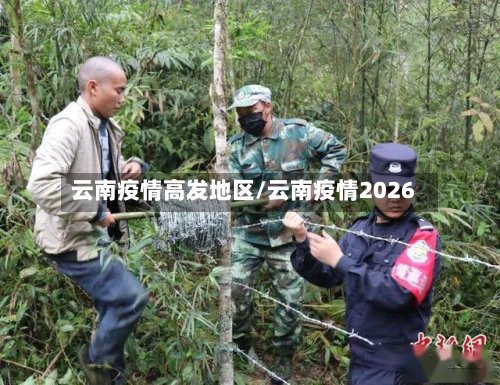 云南疫情高发地区/云南疫情2026