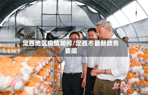 定西地区疫情如何/定西市最新政务要闻