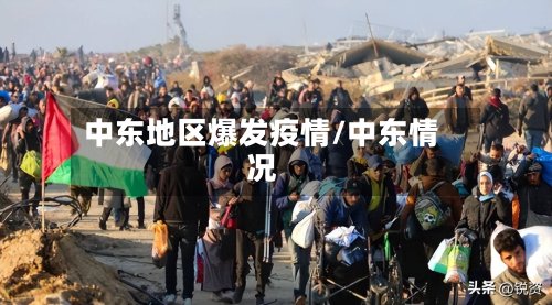 中东地区爆发疫情/中东情况