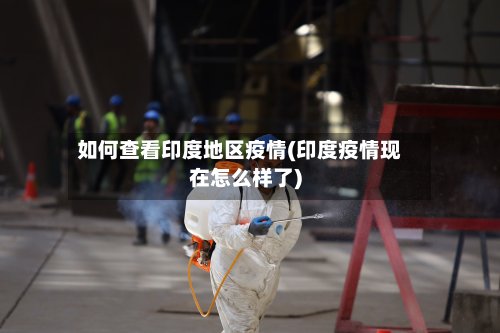 如何查看印度地区疫情(印度疫情现在怎么样了)