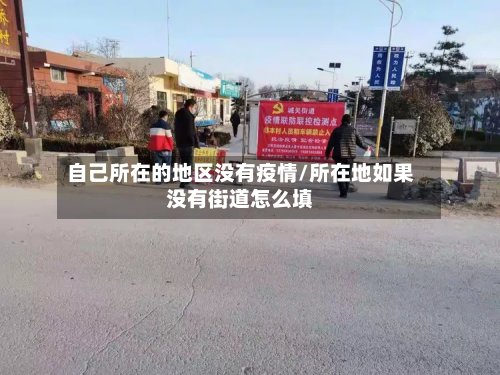 自己所在的地区没有疫情/所在地如果没有街道怎么填