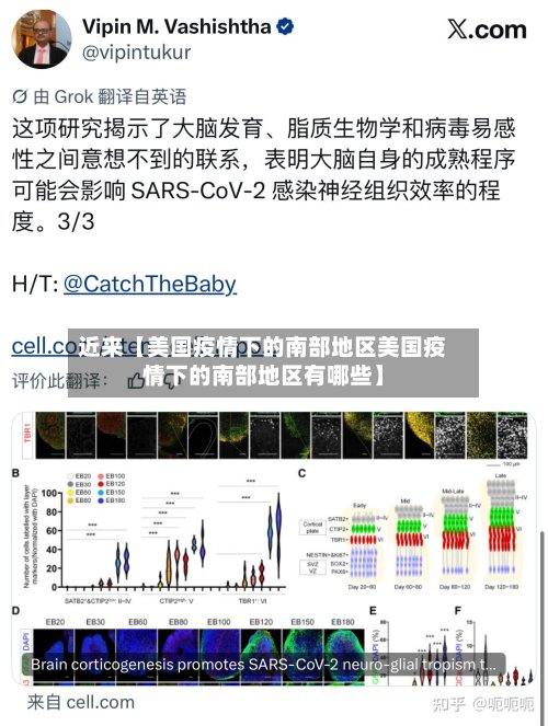 近来【美国疫情下的南部地区美国疫情下的南部地区有哪些】-第3张图片