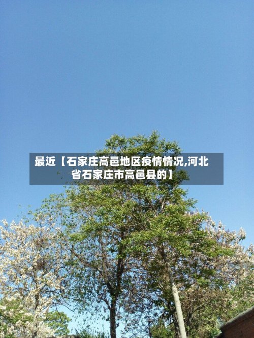 最近【石家庄高邑地区疫情情况,河北省石家庄市高邑县的】-第2张图片
