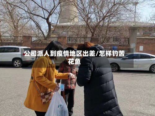 公司派人到疫情地区出差/怎样钓苦花鱼